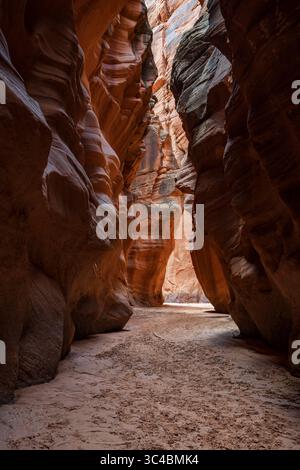 Buckskin Gulch si trova nella parte meridionale della contea di Kane, Utah, vicino al confine con l'Arizona, nella riserva naturale Paria Canyon-Vermilion Cliffs. Foto Stock