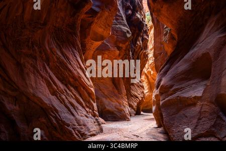 Buckskin Gulch si trova nella parte meridionale della contea di Kane, Utah, vicino al confine con l'Arizona, nella riserva naturale Paria Canyon-Vermilion Cliffs. Foto Stock