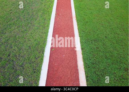 Percorso rosso che attraversa l'erba verde, catturato in una composizione minimale e simmetrica. Perfetto per sfondi astratti ispirati alla natura. Foto Stock