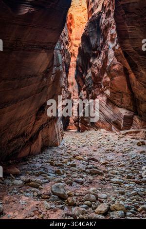 Buckskin Gulch si trova nella parte meridionale della contea di Kane, Utah, vicino al confine con l'Arizona, nella riserva naturale Paria Canyon-Vermilion Cliffs. Foto Stock