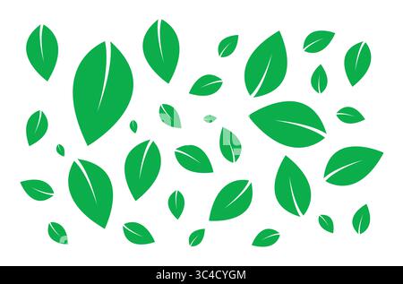 Illustrazione Falling Vector con foglia verde su sfondo bianco. Illustrazione Vettoriale