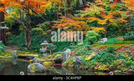 Kyoto, Giappone - 17 novembre 2024: Tempio di Sanzen-in con un colorato giardino autunnale a Ohara, a nord di Kyoto Foto Stock