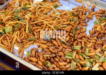 Vista ravvicinata della pupae di falena di seta arrostita al mercato alimentare notturno in una Chinatown. Gli insetti commestibili sono un popolare cibo di strada turistico in Asia. Foto Stock