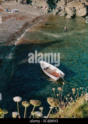Cadgwith Cove, villaggio e porto di pescatori, Penisola di Lizard, Cornovaglia Inghilterra Regno Unito Foto Stock