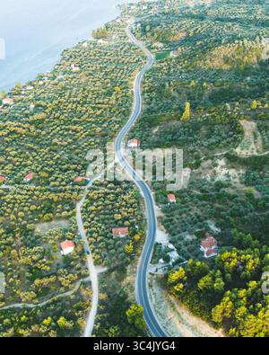 Veduta aerea di una strada tortuosa che attraversa fitti oliveti, con case sparse che costellano il paesaggio vicino alla costa, Gialtra, Evia, Grecia. Foto Stock