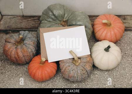 Natura morta a tema autunnale con una varietà di zucche colorate, buongustai disposti intorno a un mockup bianco bianco vuoto e busta sulla porta di casa Foto Stock