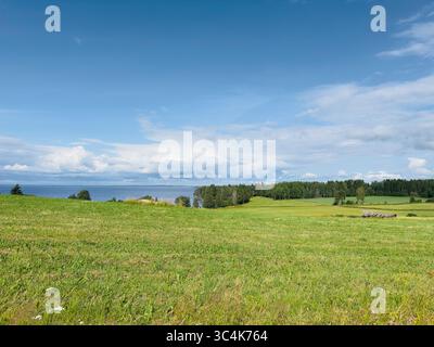 Un bellissimo paesaggio di un campo verde, acqua, alberi e cielo blu in una giornata di sole. Foto Stock