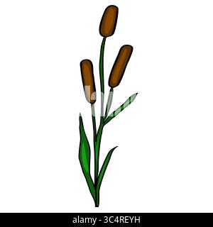 Questa illustrazione vettoriale raffigura una pianta Typha stilizzata, con tre teste di coda marroni su un unico stelo verde con foglie dettagliate, che offrono una S Illustrazione Vettoriale