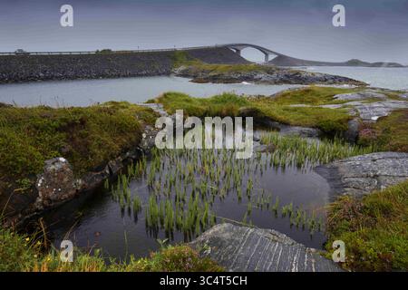 Agosto 10, 2018 - oceano Atlantico Road, Norvegia - Storseisundet ponte su un nuvoloso, Rainy day (credito Immagine: © Andrey Nekrasov/ZUMA filo) Foto Stock