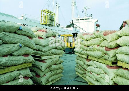 Spedizione di tuberi-seme di patate, 19-11-2002 Whizgle News, Dutch Desk, Paesi Bassi, 1950-2000 Un trafficato porto con sacchi di bavaglio impilati su pallet di legno, con una gru gialla che si prepara a sollevare carichi aggiuntivi. Sullo sfondo, sono visibili grandi navi e attrezzature portuali, che evidenziano l'atmosfera industriale delle spedizioni e della logistica. Foto Stock