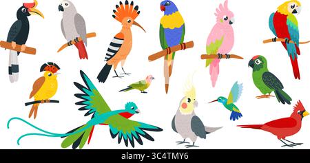 Uccelli tropicali cartoni animati. Pappagalli carini, kolibri toucan. Un uccello esotico in paradiso, seduto sul ramo, in volo. ara parakeet isolato, vettore di classe Illustrazione Vettoriale