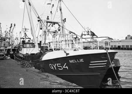 Peschereccio da traino GY 54, Nellie, IJmuiden, IJmuiden, Paesi Bassi, 17-10-1995 Whizgle News, Dutch Desk, Paesi Bassi, 1950-2000 Un peschereccio chiamato "Nellie" contrassegnato con il numero di registrazione GY54 è attraccato in un vivace porto, circondato da altre barche. La scena cattura le attrezzature e le attrezzature tipiche delle operazioni di pesca commerciale, con bandiere che sventolano nella brezza. Foto Stock
