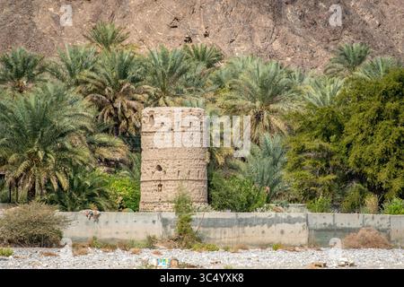 22 gennaio 2017 - Oman - antica torre di pietra con palme da dattero a Birkat al Mouz in Oman (immagine di credito: © Edwin Remsberg/VW Pics via ZUMA Wire) Foto Stock