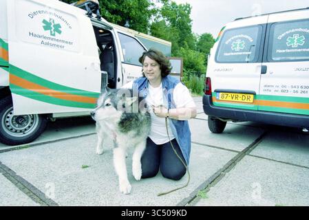 Asylum Hoofddorp, Hoofddorp, Paesi Bassi, 27-06-2002 Whizgle News, Dutch Desk, i Paesi Bassi, 1950-2000 Una donna sorride mentre tiene dolcemente il guinzaglio di un cane di grandi dimensioni, preparandosi ad assisterlo. Intorno a loro ci sono due veicoli di emergenza per animali, che indicano un focus sulla cura e il salvataggio degli animali. L'ambiente sembra essere un'area pubblica, suggerendo un servizio dedicato agli animali bisognosi. Foto Stock