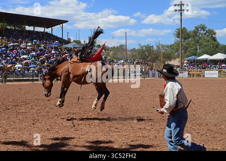 10 settembre 2016, Window Rock, Arizona, Stati Uniti: Concorso di rodeo durante la Navajo Nation Fair, un evento di fama mondiale che mostra l'agricoltura, le belle arti e l'artigianato Navajo, con la promozione e la conservazione del patrimonio Navajo fornendo intrattenimento culturale. Window Rock, Arizona. (Immagine di credito: © Nano Calvo/VW Pics tramite filo ZUMA) Foto Stock