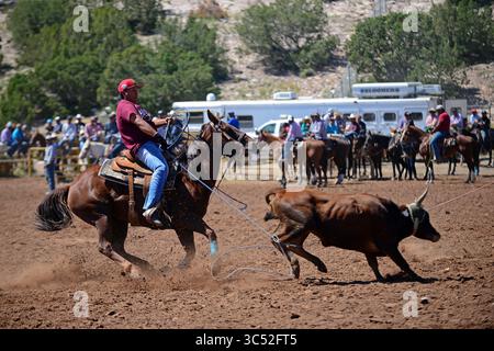 10 settembre 2016, Window Rock, Arizona, Stati Uniti: Concorso di rodeo durante la Navajo Nation Fair, un evento di fama mondiale che mostra l'agricoltura, le belle arti e l'artigianato Navajo, con la promozione e la conservazione del patrimonio Navajo fornendo intrattenimento culturale. Window Rock, Arizona. (Immagine di credito: © Nano Calvo/VW Pics tramite filo ZUMA) Foto Stock