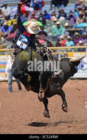 10 settembre 2016, Window Rock, Arizona, Stati Uniti: Concorso di rodeo durante la Navajo Nation Fair, un evento di fama mondiale che mostra l'agricoltura, le belle arti e l'artigianato Navajo, con la promozione e la conservazione del patrimonio Navajo fornendo intrattenimento culturale. Window Rock, Arizona. (Immagine di credito: © Nano Calvo/VW Pics tramite filo ZUMA) Foto Stock