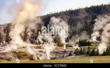Upper Geyser Basin nel parco nazionale di Yellowstone Foto Stock