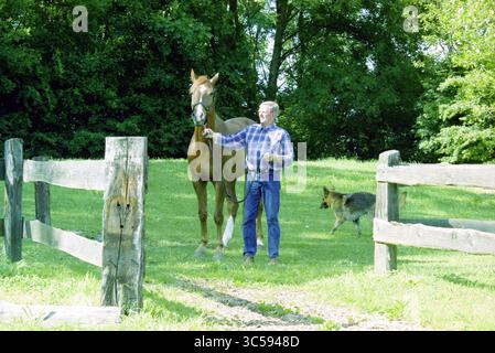 Ton Monhemius, Halfweg, 10-06-2003 Whizgle News, Dutch Desk, i Paesi Bassi, 1950-2000 Un uomo si trova accanto a un cavallo in un lussureggiante campo verde, tenendo delicatamente la testa del cavallo. Nelle vicinanze, un piccolo animale pascolava tranquillamente, circondato da una recinzione di legno e da alberi. Foto Stock