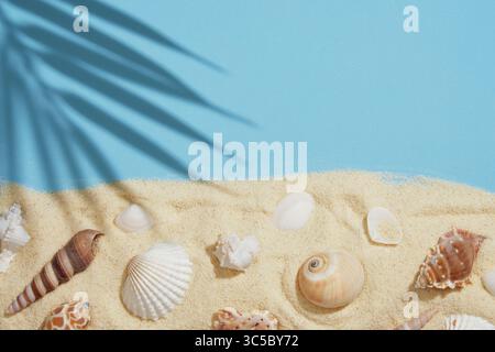 L'ombra delle foglie di palma cade su sabbia gialla fine punteggiata da una varietà di conchiglie su uno sfondo blu brillante. Uno spazio per il testo Foto Stock