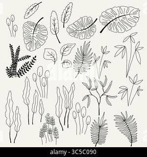 Collezione Botanical Line Drawing in stile monocromatico Illustrazione Vettoriale
