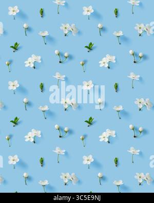 Motivo primaverile con fiori di ciliegio su sfondo azzurro. Sfondo naturale. Foto Stock