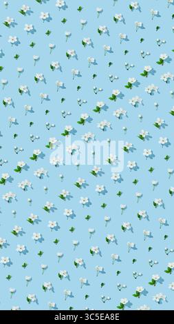 Motivo primaverile con fiori di ciliegio ordine geometrico su sfondo azzurro. Sfondo naturale. Foto Stock