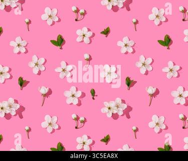 Sfondo primaverile con fiori di ciliegio sullo sfondo rosa. Foto Stock
