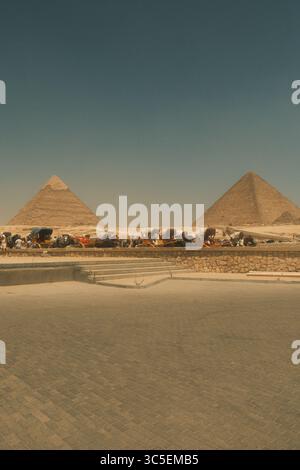 Le grandi Piramidi di Giza con cammelli adagiati di fronte Foto Stock