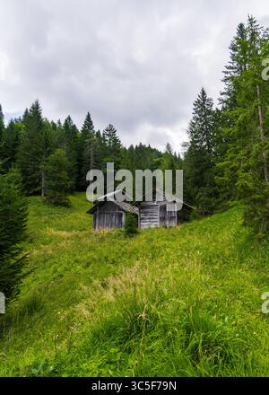 Vista panoramica delle tradizionali vecchie capanne in legno annidate tra conifere sempreverdi nelle Alpi dolomitiche. Paesaggio di montagna, viaggi, natura, h Foto Stock