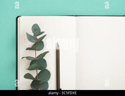 Lo stelo dell'Eucalyptus gunnii si trova su una pagina vuota del quaderno. Spazio per il testo. Foto Stock