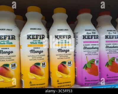 Bottiglie di kefir Trader Joes disposte in modo ordinato su un ripiano refrigerato con etichette Probiotic visibili Foto Stock