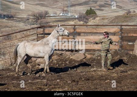 9 febbraio 2020 - Boise, Idaho, USA - Un gruppo speciale di controllo aereo tattico Airman del 124th Air Support Operations Squadron partecipa all'addestramento degli animali da branco, 9 febbraio 2020 a Emmett, Idaho. Gli animali da imballaggio, compresi cavalli, asini e muli, vengono utilizzati durante le missioni in cui i normali metodi di trasporto sono limitati. (Foto U.S. Air National Guard di Airman 1st Class Taylor Walker) (immagine di credito: © U.S. /ZUMA Wire/ZUMAPRESS.com) Foto Stock