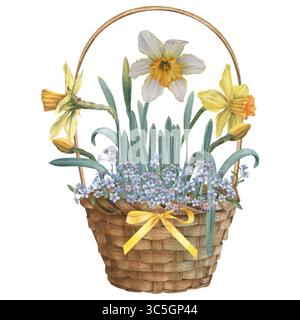 Cestino con delicati dolcetti, narcisi solari e fiocco in raso. Illustrazione ad acquerello disegnata a mano di un contenitore in legno per un design rustico Foto Stock