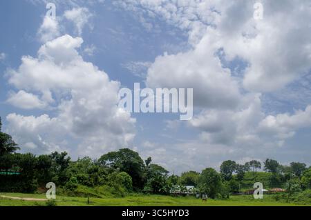 Bel cielo nuvoloso su lussureggianti campi verdi e alberi paesaggio naturale perfetto giorno del tempo Foto Stock
