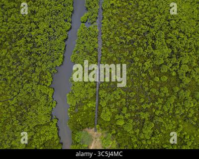 Vista aerea di uno stretto canale che attraversa una fitta e vibrante foresta verde, creando un sorprendente contrasto di colori naturali, manda, Lamu County, Kenya. Foto Stock