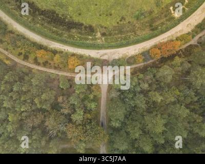 Vista aerea di sentieri che attraversano una foresta con colori autunnali e campi verdi circolari, Beverwijk, Olanda settentrionale, Paesi Bassi. Foto Stock