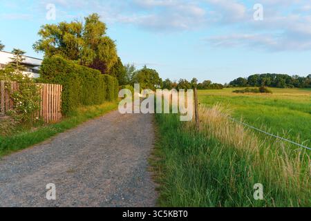 Il sentiero di ghiaia si snoda attraverso vivaci campi verdi e siepi, illuminati dalla luce soffusa della sera, catturando un tranquillo ambiente rurale a Rossdorf. Foto Stock