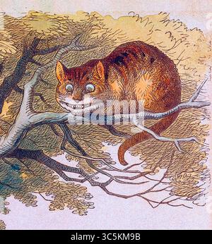 Il Cheshire Cat. Illustrazione di John Tenniel da Alice's Adventures in Wonderland 19th Century Foto Stock