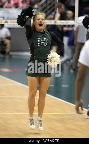 5 marzo 2020 - le cheerleader delle Hawaii si esibiscono durante una partita tra i BYU Cougars e gli Hawaii Rainbow Warriors al Les Murakami Stadium di Honolulu, HI - Michael Sullivan/CSM(Credit Image: &Copy; Michael Sullivan/CSM via ZUMA Wire) Foto Stock