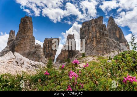 Giornata estiva mozzafiato nelle Dolomiti – splendida vista sulle cinque Torri, il paesaggio alpino selvaggio d'Italia Foto Stock