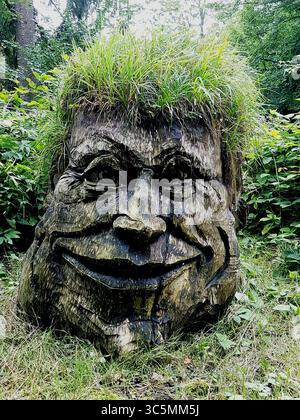Enorme ceppo d'albero con il viso sorridente scolpito e i capelli di erba verde naturale in un ambiente forestale Foto Stock