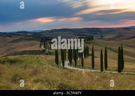 Classico paesaggio toscano nella Val d'Orcia, incastonato tra dolci colline e raggiungibile da una tortuosa strada costeggiata da cipressi. Foto Stock