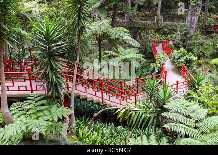 Passerella con recinzione di colore rosso nel giardino tropicale del Monte Palace sull'isola portoghese di Madeira. Foto Stock
