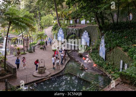 Le persone ammirano e fotografano i fenicotteri nel giardino tropicale di Monte Palace sull'isola portoghese di Madeira. Foto Stock