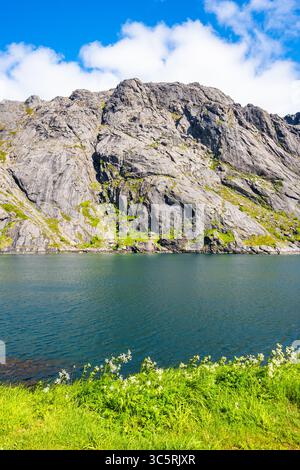 Splendida montagna e paesaggio marino vicino al villaggio di Nusfjord sull'isola di Flakstadoya in estate, isole Lofoten, Norvegia Foto Stock