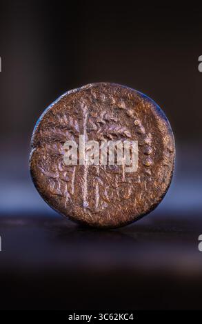 7 maggio 2020, Gerusalemme, Israele: L'Israel Antiquities Authority presenta una rara moneta di bronzo del periodo della rivolta di Bar Kokhba, intorno al 132 d.C., scoperta negli scavi archeologici nel Parco Archeologico di William Davidson sotto il Monte del Tempio. Una faccia della moneta è decorata con un ammasso di uva e l'iscrizione â€˜anno due della libertà di Israelâ ™ e l'altra presenta una palma e l'iscrizione â€˜Jerusalemâ€™, l'unica moneta dell'era della rivolta di Bar Kokhba trovata nella zona in cui˜Jerusalemâ appare la parola â€€™. (Immagine di credito: © Koby Harati/città di David via ZUMA Foto Stock