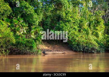 Una tranquilla scena fluviale che presenta una vegetazione lussureggiante e una tradizionale canoa in legno sulle rive di Casanare, Colombia. Foto Stock