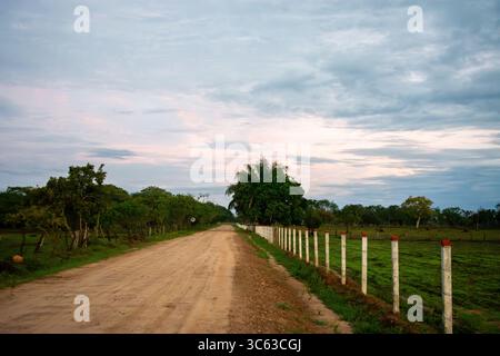 Un sentiero rurale panoramico a Casanare, Colombia, fiancheggiato da alberi e recinzioni sotto un cielo nuvoloso. Ideale per natura e viaggi. Foto Stock