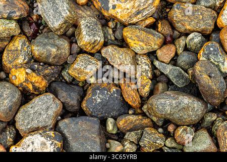 Varie pietre a trama in sfumature di arancio, grigio e nero sono sparse su una spiaggia rocciosa sotto un cielo blu limpido. Foto Stock